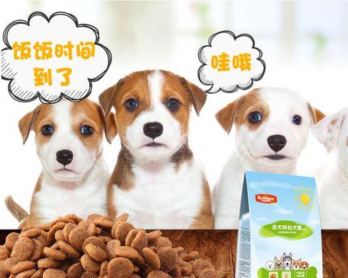 哈士奇幼犬该如何选择狗粮（了解宠物营养需求）