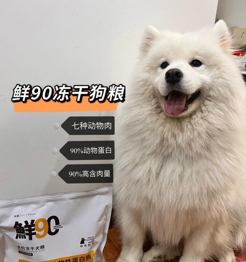 家里没狗粮了，你能喂点什么（以宠物为主）