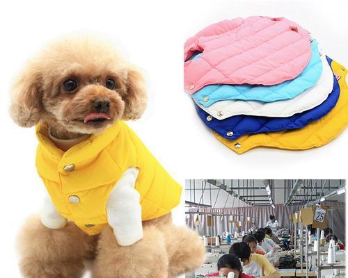 手工制作简单狗狗衣服，让爱宠温暖过冬（以宠物为主）