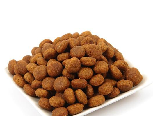 宠物健康从饮食开始，教你选出最适合金毛的狗粮（宠物健康从饮食开始）