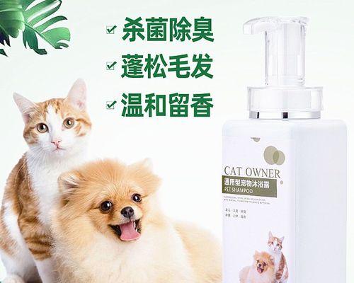 如何治疗金毛狗得螨虫贴吧（宠物护理指南）