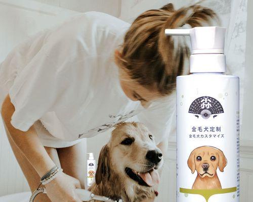 如何治疗金毛狗得螨虫贴吧（宠物护理指南）