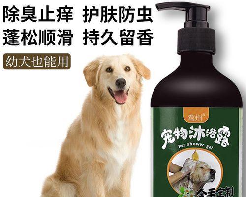 如何处理金毛犬幼犬拉稀（宠物健康的必要知识）