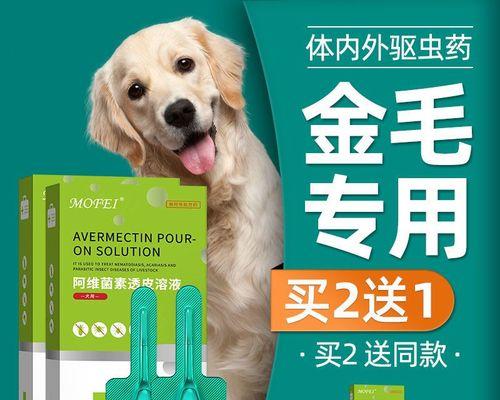 以金毛生小狗后怎么补（宠物健康护理）