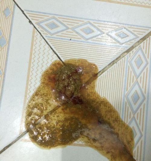 金毛幼犬吃了馒头后拉稀，应该怎么办（宠物的健康需得到重视）