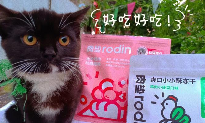 绝育猫咪该吃什么猫粮（为您的爱宠选择合适的猫粮）