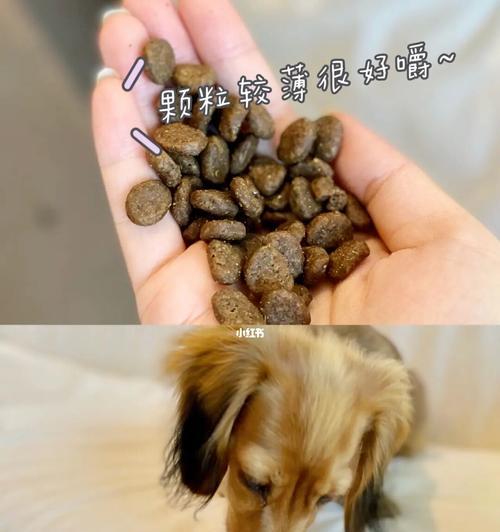 以渴望狗粮的适合狗的品种选择（如何选择适合宠物的狗粮）