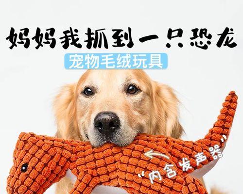 拉布拉多犬的臭味是如何产生的（了解拉布拉多犬的气味问题）