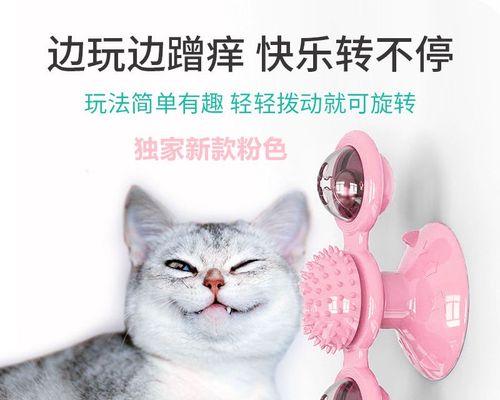猫咪的薄荷玩具之旅（两个月大的小猫可以玩薄荷玩具吗）
