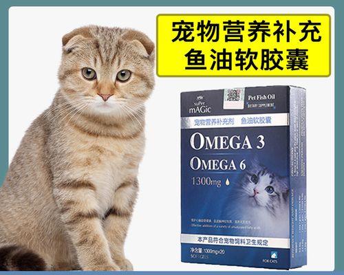 以宠物为主，让爱变得更智慧（以宠物为主）