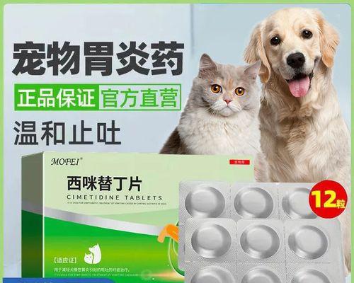 宠物猫肠胃炎呕吐综合治疗方法（以猫得肠胃炎呕吐怎么办）