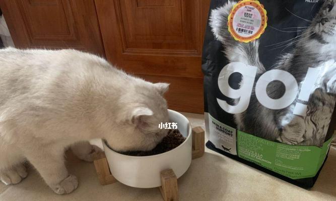 猫粮中的粗蛋白-宠物健康的关键（为什么粗蛋白是猫粮中的重要成分）