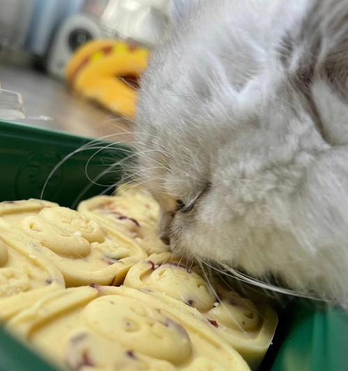 绿豆汤对猫咪的好处以及制作方法（绿豆汤对猫咪的好处以及制作方法）
