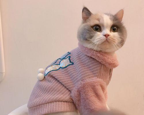 猫咪掉毛引发红肿，你需要这些应对策略（关爱宠物健康）