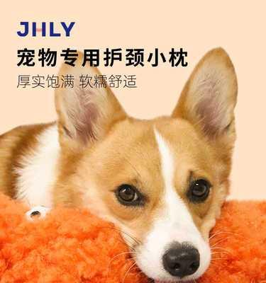 猫儿走了，猫崽怎么办（以宠物为主的应对策略）