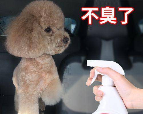 如何防治狗狗身上的牛蜱（从宠物养护、环境治理到药物防治）