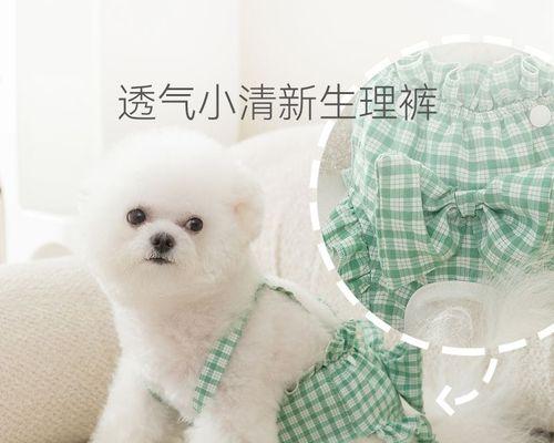 狗狗配种后发炎，如何避免（探究狗狗配种后发炎的原因、防范和治疗方法）