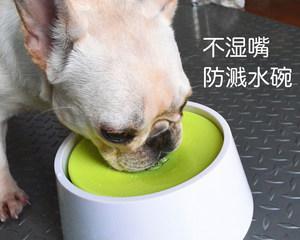 狗狗突然猛喝水，危险信号不容忽视（宠物健康需谨慎）