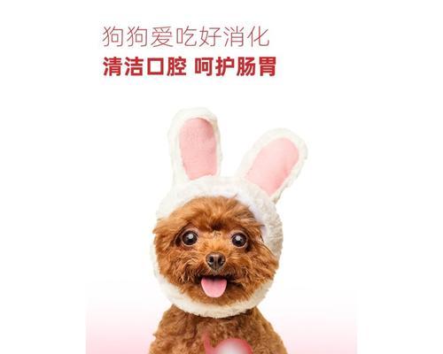 狗狗为什么喜欢磨牙（探究狗狗磨牙的原因及解决方法）