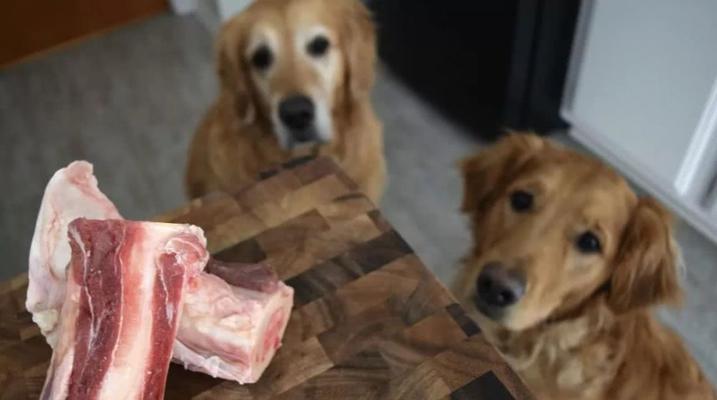 狗狗的主食应以生肉为主（为宠物犬提供最优质的营养来源）