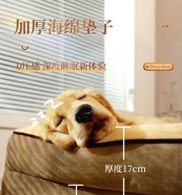 如何彻底清洗你的宠物狗的窝（以狗狗的健康为出发点）