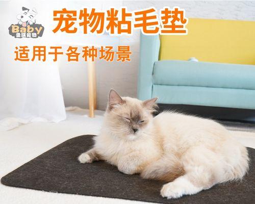 狗狗睡垫的重要性（为何狗狗需要睡垫）