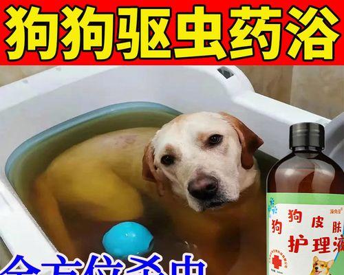 如何应对狗狗药浴后的反应（预防）