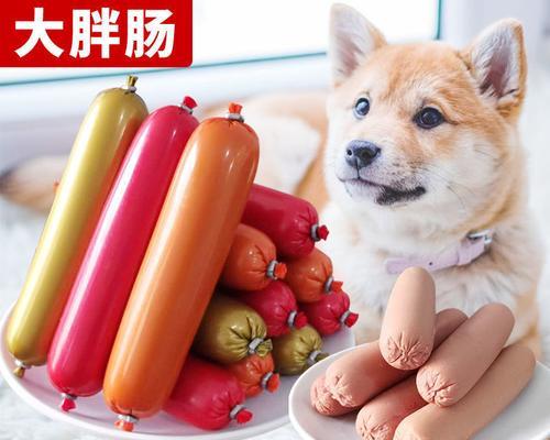 狗狗最爱的食物（满足狗狗味蕾的美味佳肴）