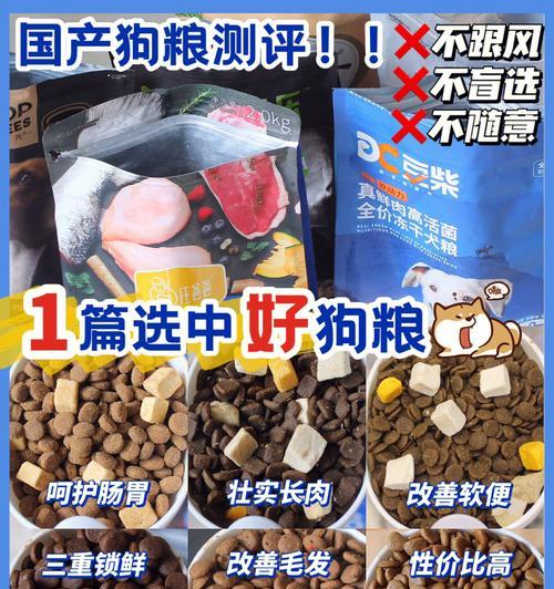 狗粮里有钙吗（揭开狗粮中的钙元素秘密）