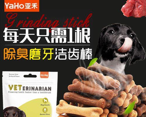 从药品类型到使用方法，全面解读宠物呕吐症状的治疗方法（从药品类型到使用方法）