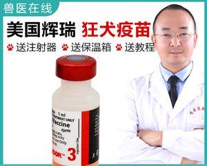 狗四联针解析——预防宠物疾病的最佳选择（从疫苗基础知识到注射注意事项一网打尽）