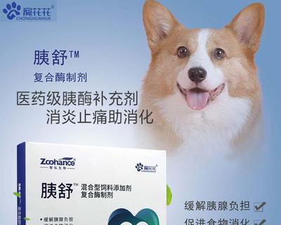治疗狗胰腺炎的有效药物（选择合适的药物）