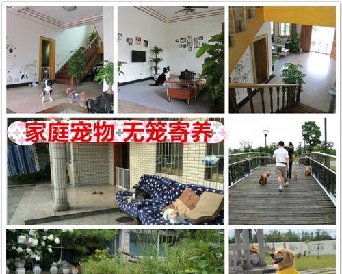 哈尔滨狗狗寄养指南（让宠物在寄养期间也能过得舒心愉悦）