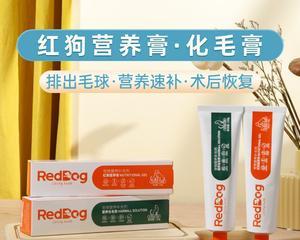红狗营养膏猫咪的全面呵护（以营养为基础）