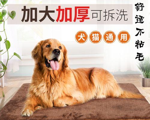 让你的金毛犬健康成长——以菜为主的饮食建议（宠爱你的金毛犬）