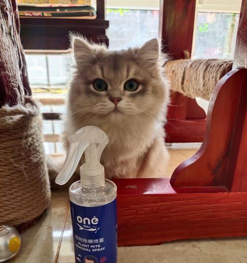 猫鼻炎的治疗方法（为您解答猫咪鼻炎的疑惑）