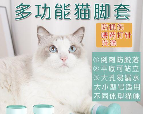 宠物猫洗澡的最佳时间（让你的猫咪在正确的时间洗澡）
