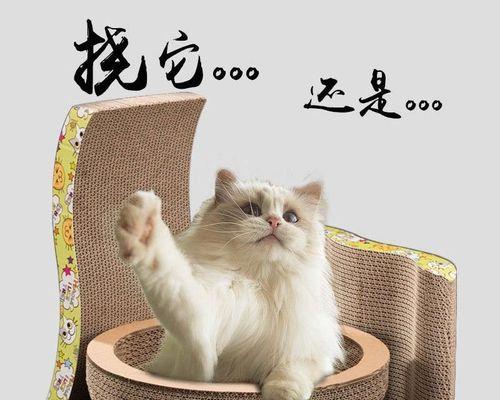 宠物猫的爪印——以猫挠的印迹为主题的探索