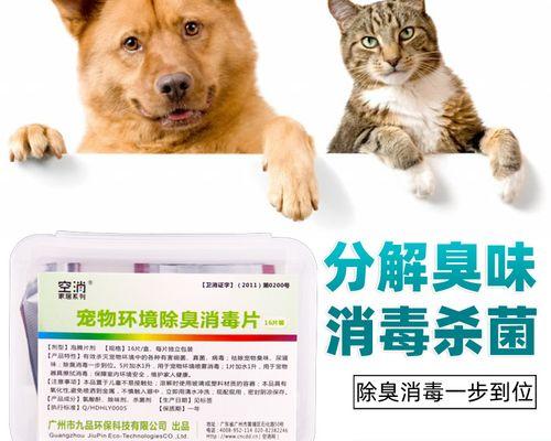 宠物猫细小病毒的传染及防治（保护你的爱宠远离猫细小病毒）