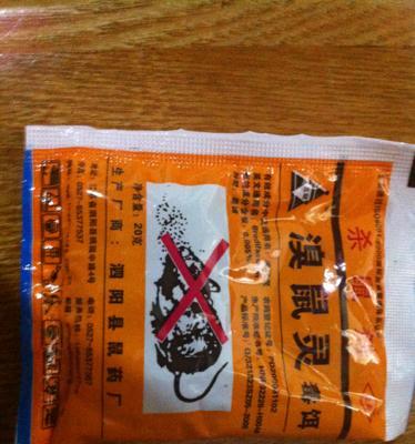 猫咪应急药必备指南（宠物家庭必备的15种药品清单及用法）