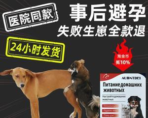 猫咪应急药必备指南（宠物家庭必备的15种药品清单及用法）
