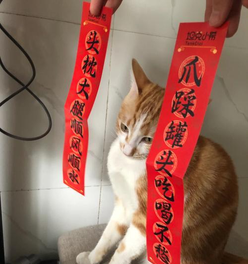 猫咪便便出现红色，怎么办（小心猫咪健康问题）