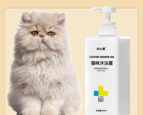 猫咪老化征兆——了解宠物健康的关键（宠物变老的征兆及如何延缓衰老过程）