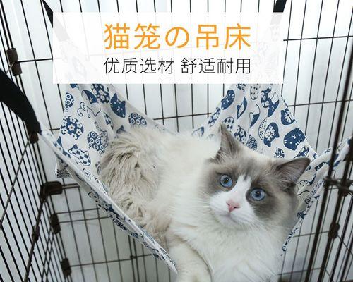 为什么我的猫咪不愿意跟我亲近（探究宠物猫咪不跟主人亲近的原因及解决方法）