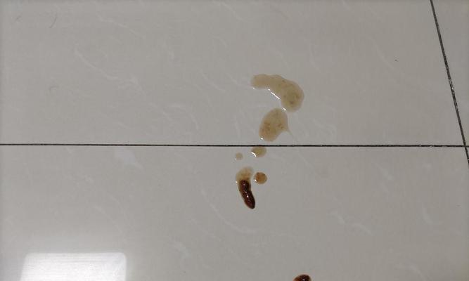 猫咪大便血情况详解（探究猫咪便血的成因及应对措施）