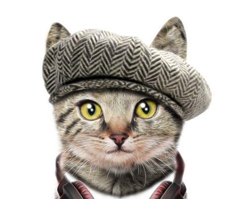 小猫咪的大小便习惯（掌握这些技巧）