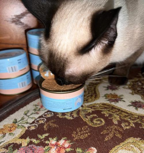 猫咪罐头饮食，（宠物的健康需求与罐头饮食选择）