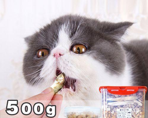 猫咪冻干与猫粮，如何为宠物提供更健康的营养（探讨猫咪冻干与猫粮的区别及优劣）