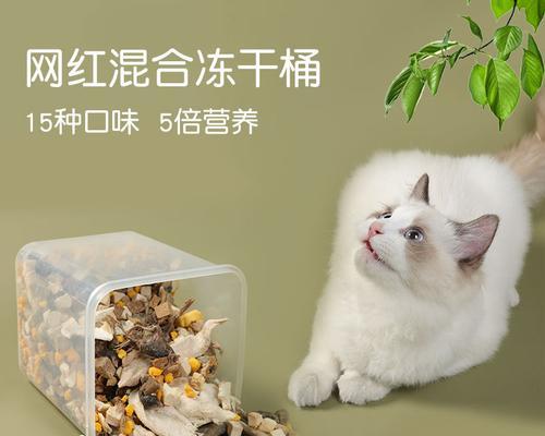 如何正确喂养猫咪冻干