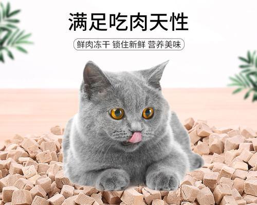 如何合理地为宠物猫咪补充营养（以猫咪冻干怎么吃为例）